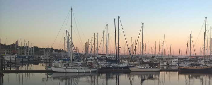 Boats at the Boat Haven